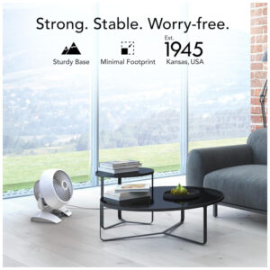 Ventilador com Controle de Velocidade Variável e Controle Remoto, 110V 53W, Vornado 6303DC Energy Smart, Branco