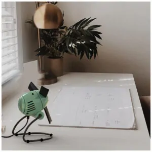 ectqknlvptr90b_5.jpg - Ventilador de Mesa com 2 Velocidades e Lâminas Macias, 110V 30W, Vornado Zippi, Verde